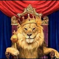 Lion_King_bro
